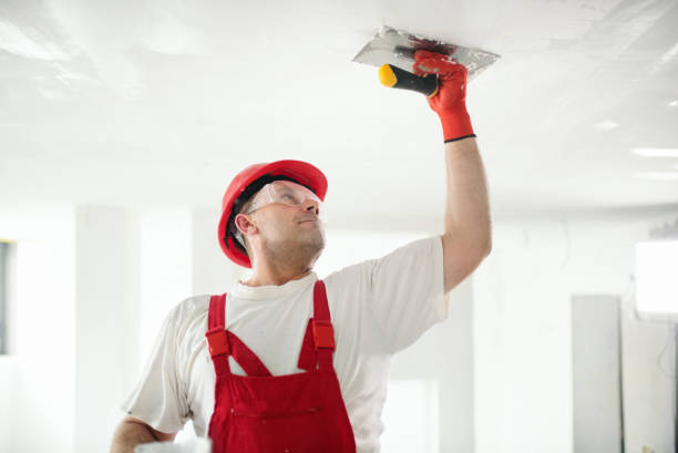 Best Fire-Damaged Drywall Repair  in Forsyth, GA